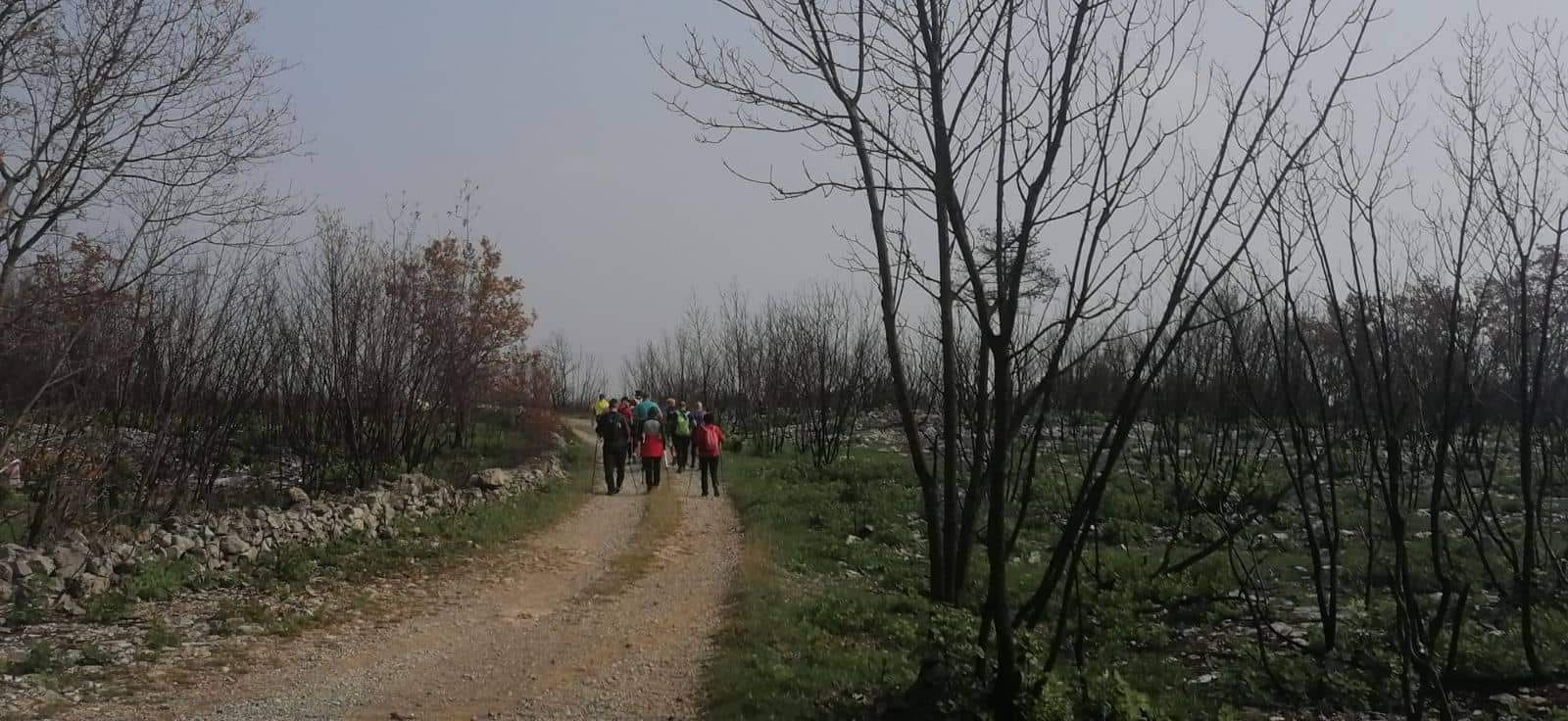 313044602 1214639605933741 3165338902450548846 n